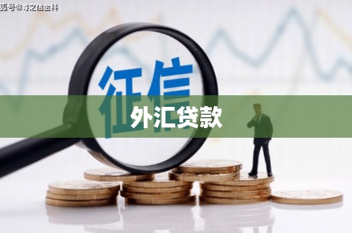 西咸外汇贷款