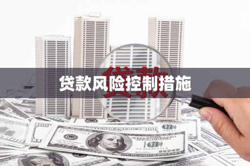 西咸贷款风险控制措施