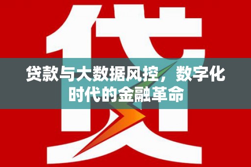 西咸贷款与大数据风控，数字化时代的金融革命