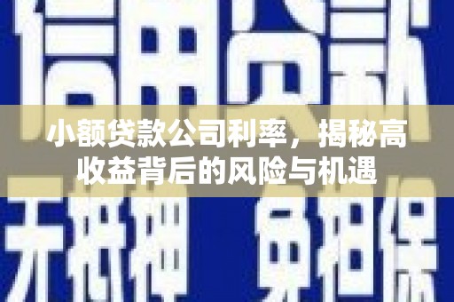 西咸小额贷款公司利率，揭秘高收益背后的风险与机遇