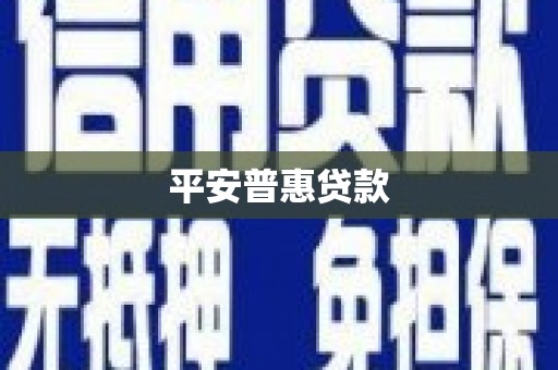 西咸平安普惠贷款