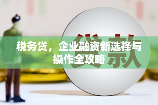 西咸税务贷，企业融资新选择与操作全攻略