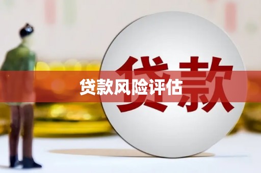 西咸贷款风险评估