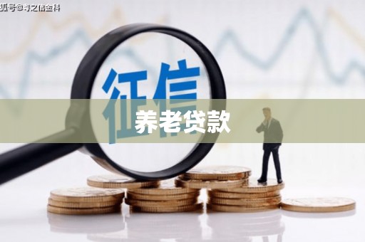 西咸养老贷款