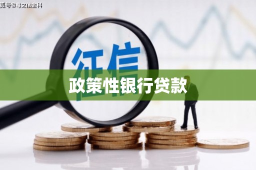 西咸政策性银行贷款