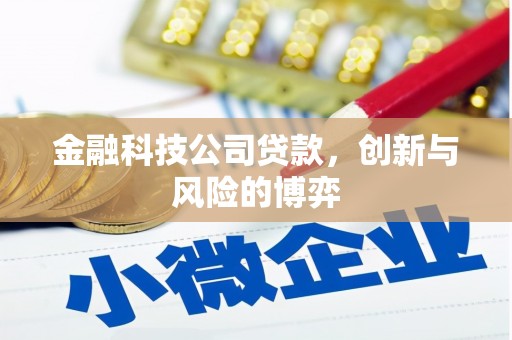 西咸金融科技公司贷款，创新与风险的博弈