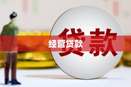 西咸经营贷款