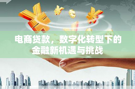 西咸电商贷款，数字化转型下的金融新机遇与挑战