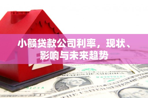 西咸小额贷款公司利率，现状、影响与未来趋势