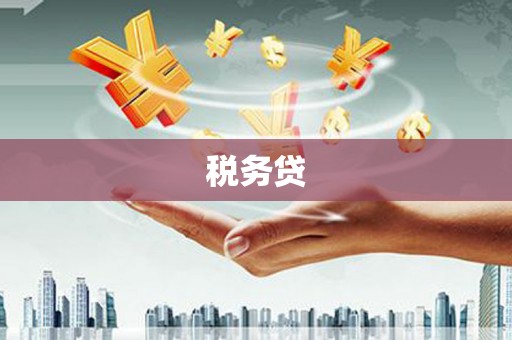 西咸税务贷