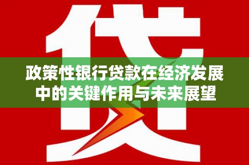西咸政策性银行贷款在经济发展中的关键作用与未来展望