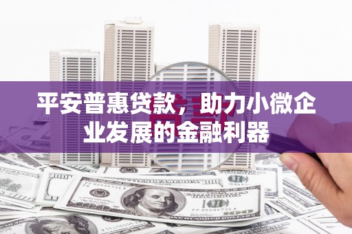 西咸平安普惠贷款，助力小微企业发展的金融利器