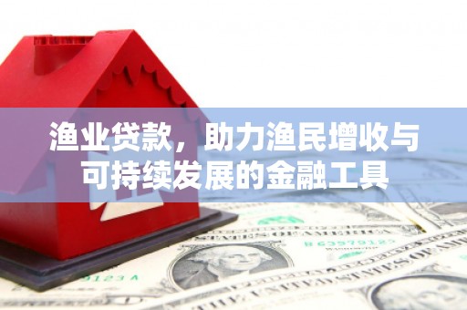 西咸渔业贷款，助力渔民增收与可持续发展的金融工具