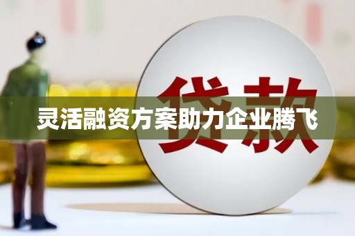 西咸灵活融资方案助力企业腾飞
