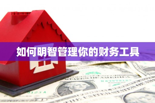 西咸如何明智管理你的财务工具