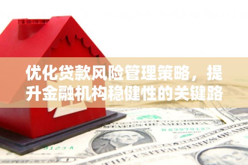 西咸优化贷款风险管理策略，提升金融机构稳健性的关键路径