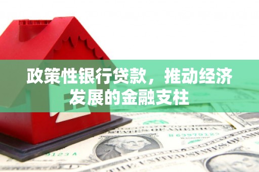西咸政策性银行贷款，推动经济发展的金融支柱