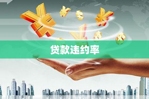 西咸贷款违约率