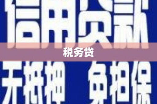 西咸税务贷