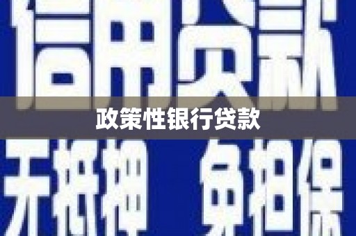 西咸政策性银行贷款