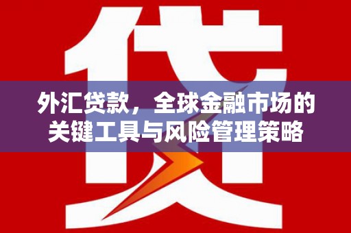 西咸外汇贷款，全球金融市场的关键工具与风险管理策略