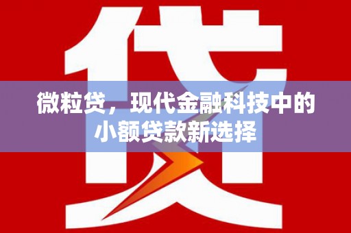 西咸微粒贷，现代金融科技中的小额贷款新选择