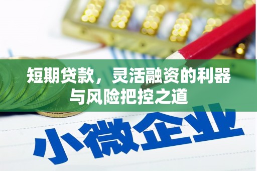 西咸短期贷款，灵活融资的利器与风险把控之道
