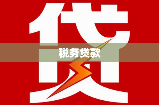 西咸税务贷款