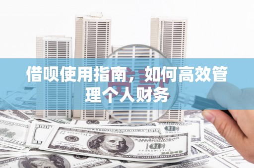 西咸借呗使用指南，如何高效管理个人财务