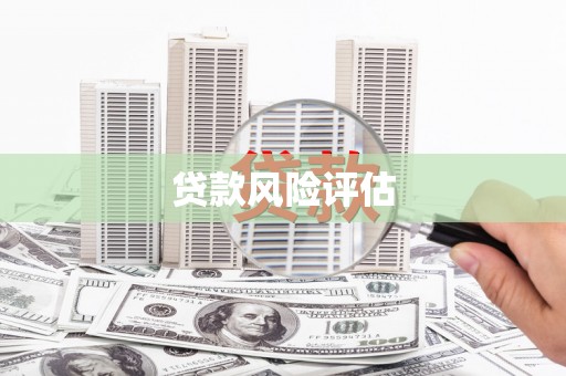 西咸贷款风险评估