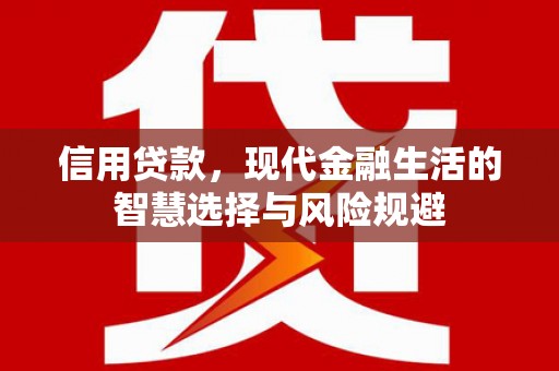 西咸信用贷款，现代金融生活的智慧选择与风险规避