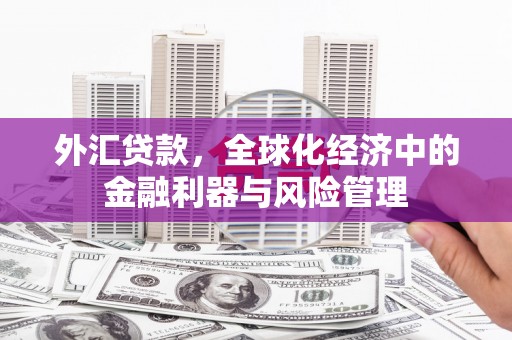 西咸外汇贷款，全球化经济中的金融利器与风险管理