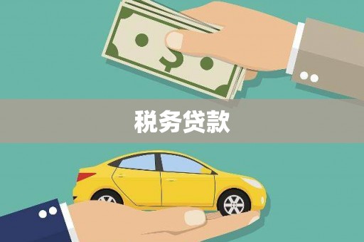 西咸税务贷款