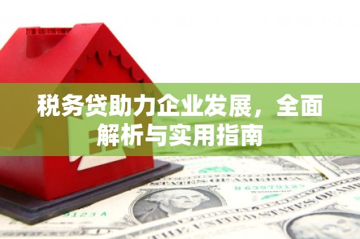 西咸税务贷助力企业发展，全面解析与实用指南