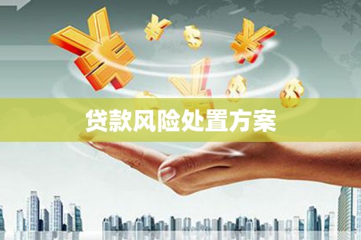 西咸贷款风险处置方案