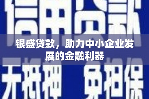 西咸银盛贷款，助力中小企业发展的金融利器