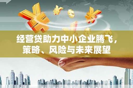 西咸经营贷助力中小企业腾飞，策略、风险与未来展望