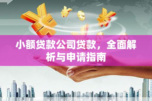 西咸小额贷款公司贷款，全面解析与申请指南