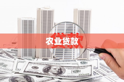 西咸农业贷款