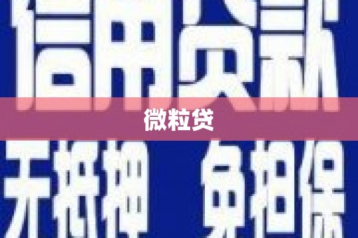 西咸微粒贷