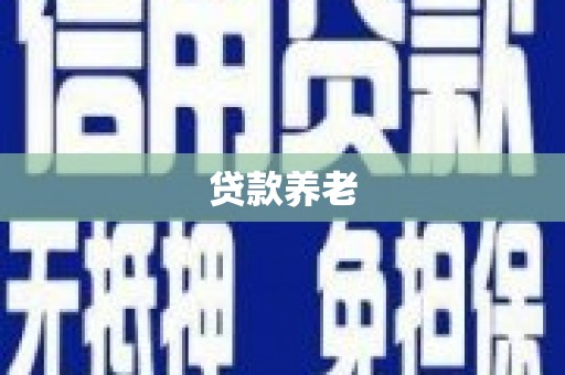 西咸贷款养老