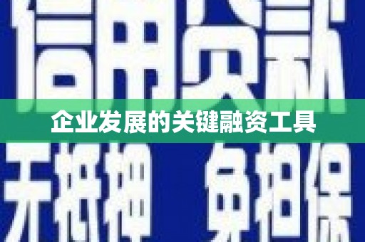 西咸企业发展的关键融资工具