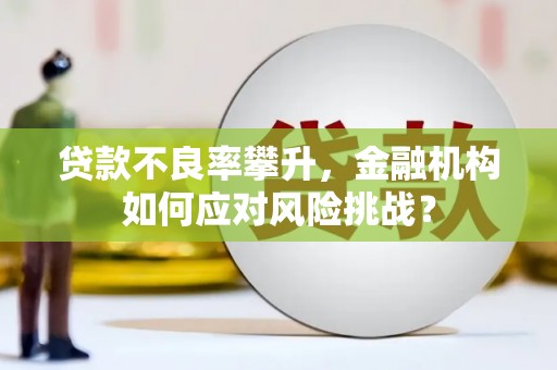 西咸贷款不良率攀升，金融机构如何应对风险挑战？