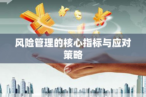 西咸风险管理的核心指标与应对策略