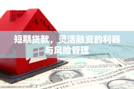 西咸短期贷款，灵活融资的利器与风险管理