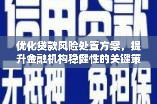 西咸优化贷款风险处置方案，提升金融机构稳健性的关键策略