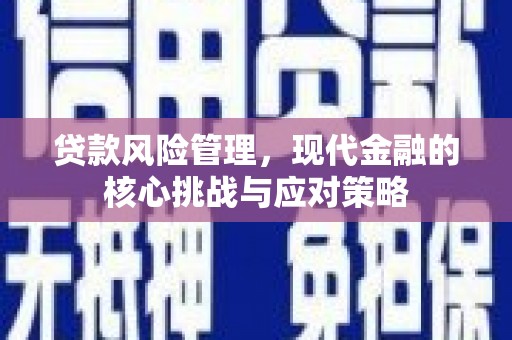 西咸贷款风险管理，现代金融的核心挑战与应对策略