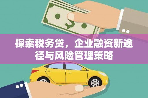西咸探索税务贷，企业融资新途径与风险管理策略