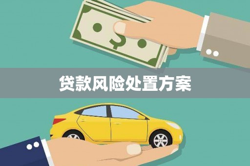 西咸贷款风险处置方案