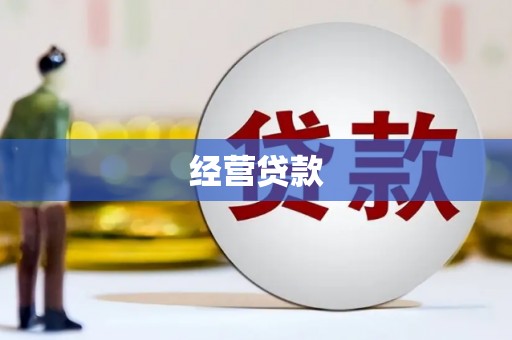西咸经营贷款